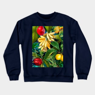 tropical exotic botanical illustration with floral tropical fruits, botanical illustration, tropical fruit, Blue fruit pattern over a Crewneck Sweatshirt